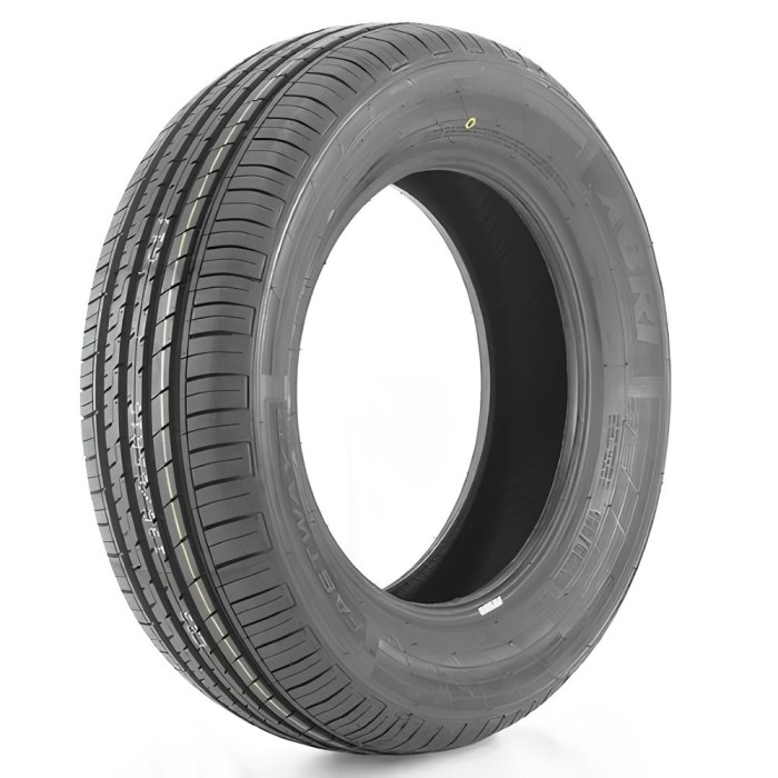 Pneu Aro 16 Xbri Fastway C2 205/55R16 91V